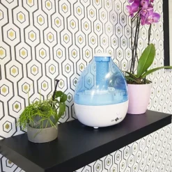Air & Me CLAISE ultrasonic humidifier