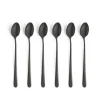 Amefa Austin Vintage Black Icetealepel Set6