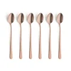 Amefa Austin Vintage Copper Icetealepel Set6