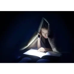 Ansmann DAILY USE LED ZAKLAMP 315LM 300B