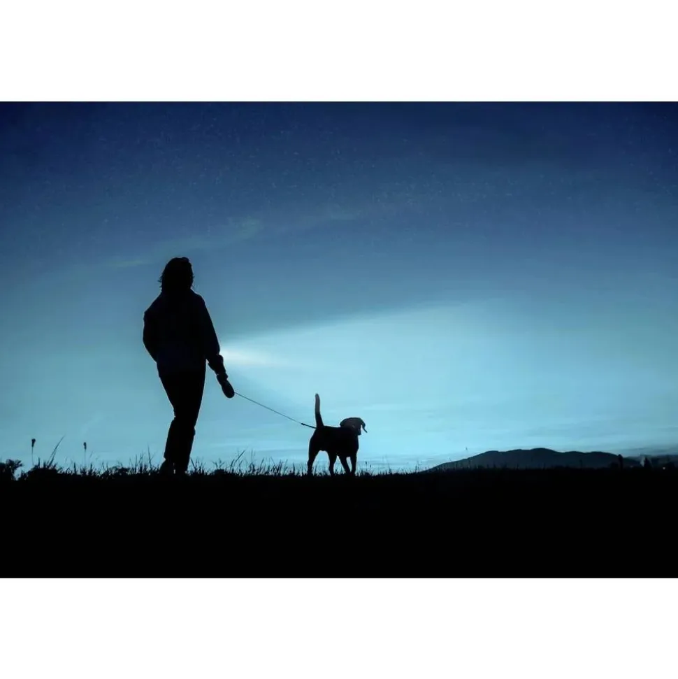 Ansmann DAILY USE LED ZAKLAMP 315LM 300B