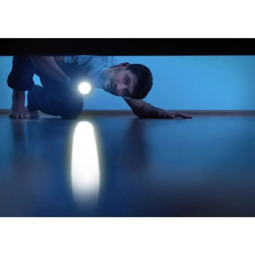 Ansmann DAILY USE LED ZAKLAMP 315LM 300B