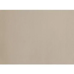 Asa Placemat lederlook 46x33cm Stone