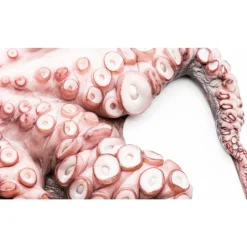 Big Green Egg Big Green Modus Operandi