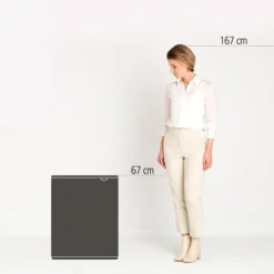 Brabantia Bo Touch Bin afvalemmer 2 x 30 liter met 2 kunststof binnenemmers Matt Steel Fingerprint Proof