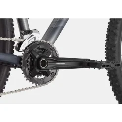 Cannondale 29 M TRAIL 6 Slate Grey LG (X)