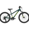 Cannondale KIDS TRAIL 20 Boy's Emerald OS