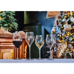 Chef & Sommelier Exaltation Champagneglas 30cl Set6