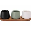 Cosy & Trendy Bites Aperoset 4pcs - Serveerplank 30x10cm + 3x Bowl D9x7cm