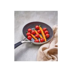 Cosy & Trendy Cerapro Braadpan Clay D20cm Ns