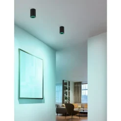 Eglo CAROSSO-Z opbouwarmatuur aluminium zwart / Kunststof wit H: 120 mm | Ø 80 mm