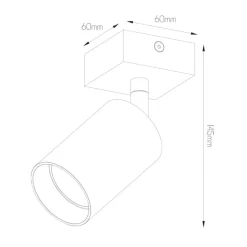 Fantasia TABOO 1L GU10 (excl) wit, spot