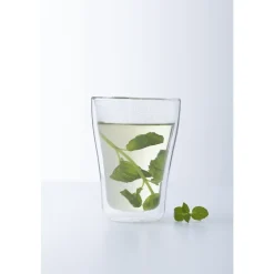 Leonardo Duo Dubbelwandig glas 250ml set van 2