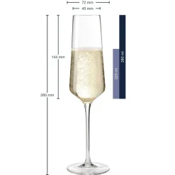 Leonardo Puccini champagneglas 280ml set van 6
