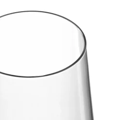 Leonardo Puccini champagneglas 280ml set van 6