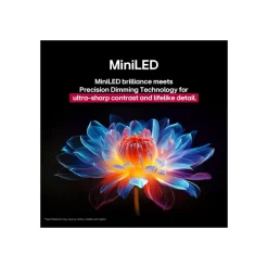 LG Electronics QNED evo AI MiniLED 4K Smart TV 55QNED93A6A