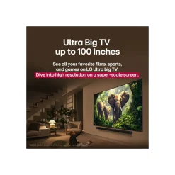 LG Electronics QNED evo AI MiniLED 4K Smart TV 65QNED87A6B