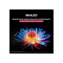 LG Electronics QNED evo AI MiniLED 4K Smart TV 65QNED87A6B