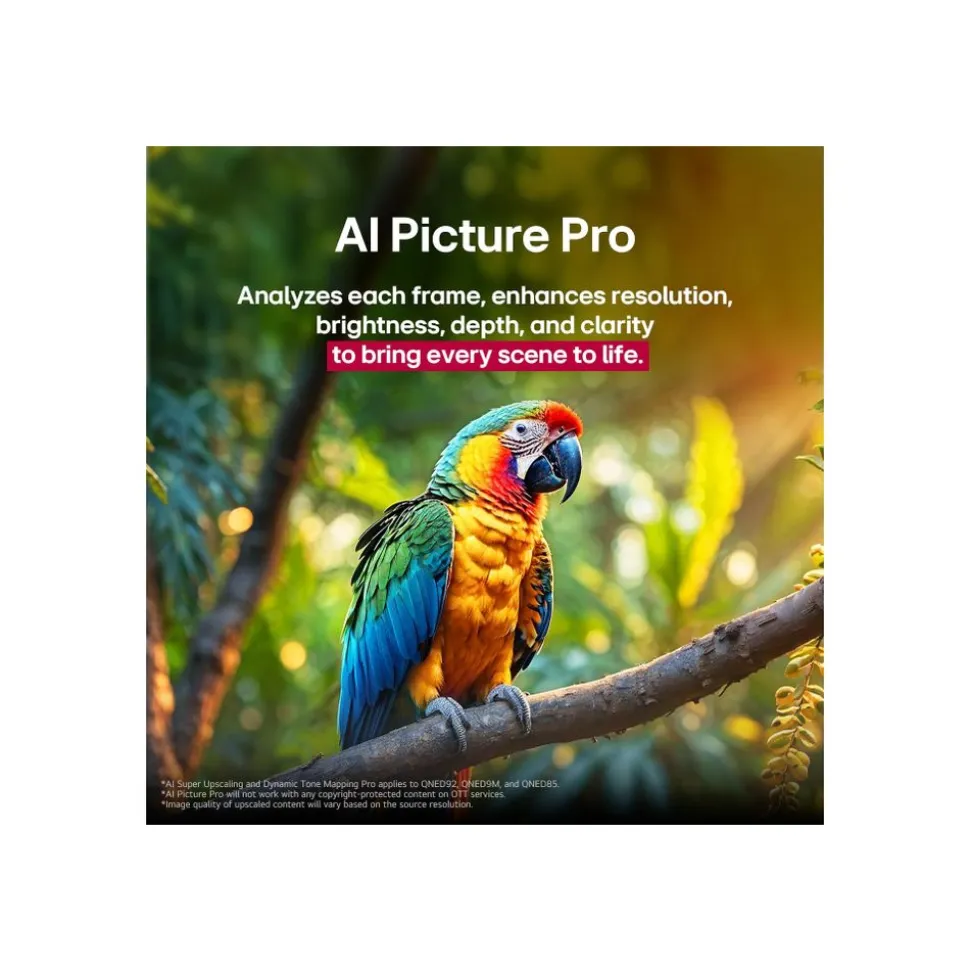 LG Electronics QNED evo AI MiniLED 4K Smart TV 75QNED87A6B