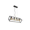 Lucide FABIAN - Hanglamp - 4xE27 - Zwart Lucide