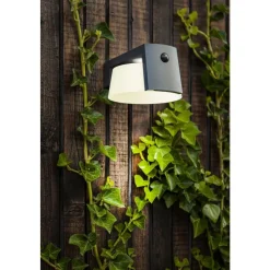 Lutec MOON Wandlamp Donkergrijs  LED 7.4W