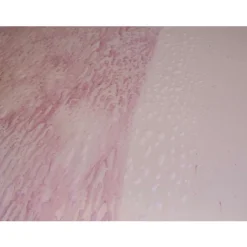 Meguiar's Iron Removing Spray