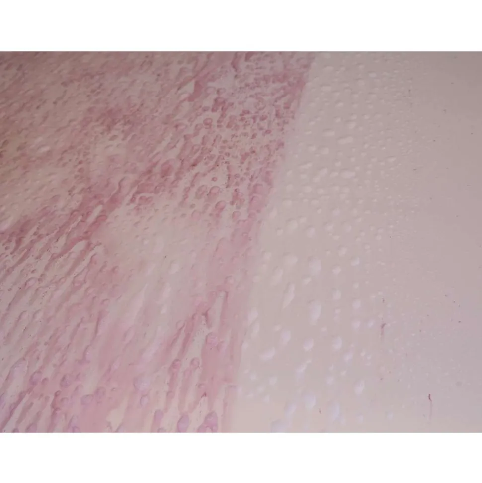 Meguiar's Iron Removing Spray