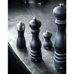 Peugeot Fidji Zoutmolen hout Grafiet/inox 15cm