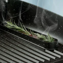 Philips HD6212/90 Tafelgrill met Rook- en aroma-infuser