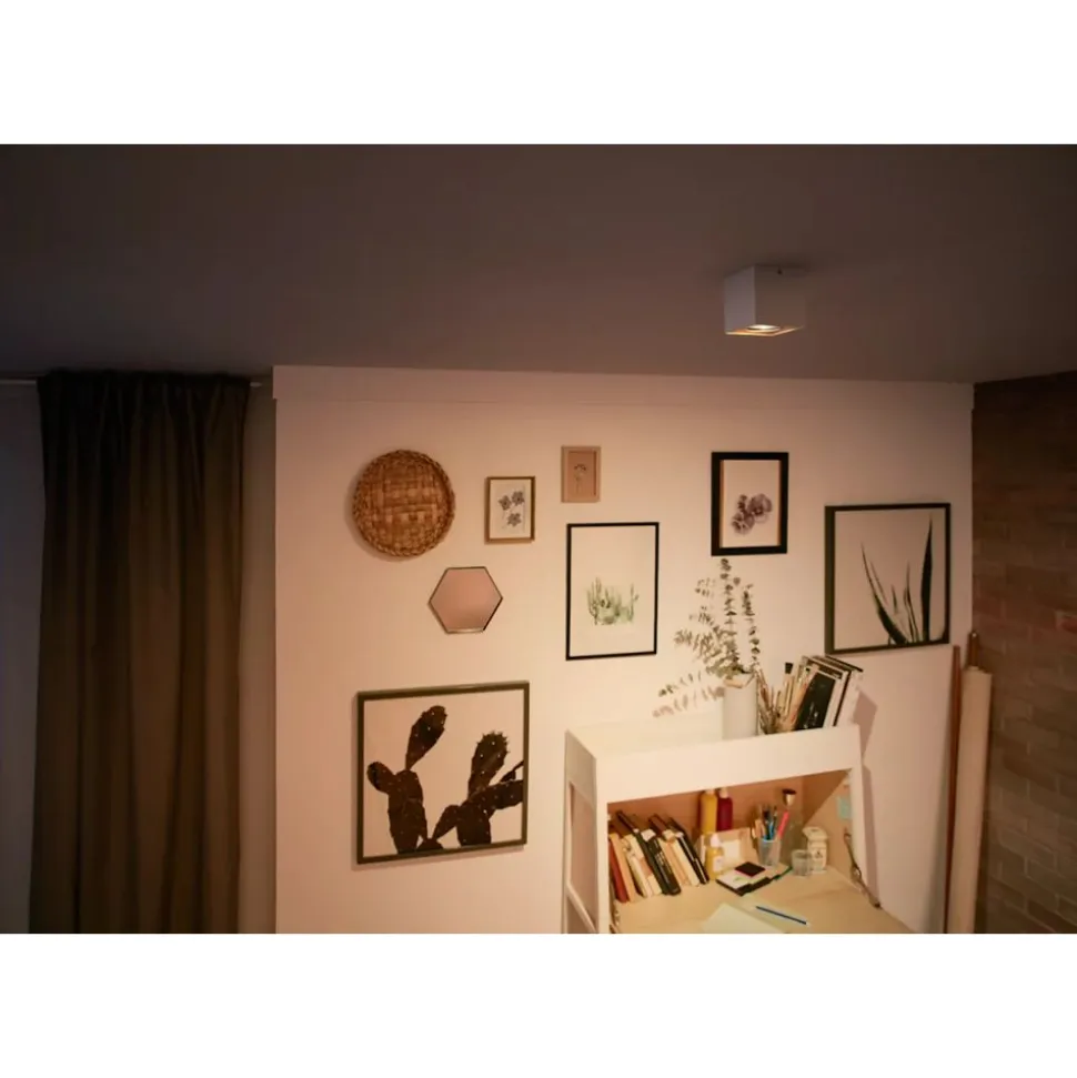 Philips Lighting BOX single spot white 1x4.5W SELV