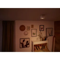 Philips Lighting BOX single spot white 1x4.5W SELV