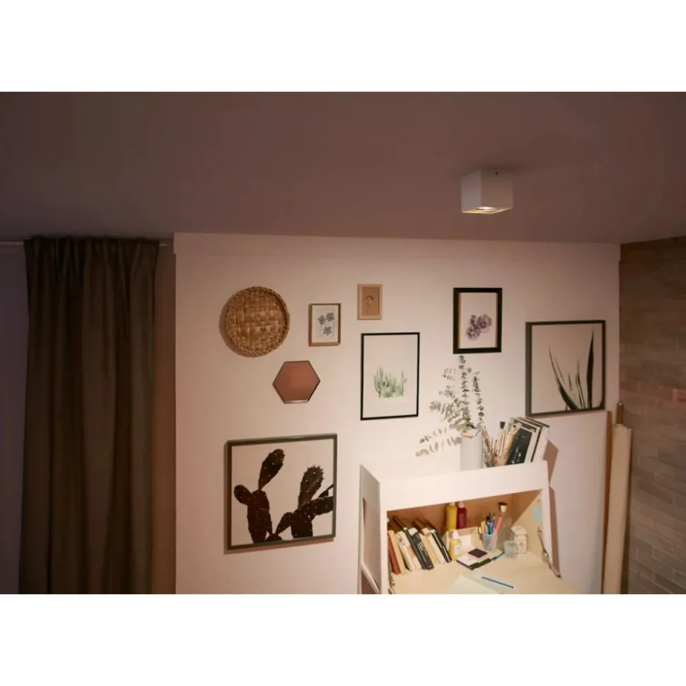 Philips Lighting BOX single spot white 1x4.5W SELV