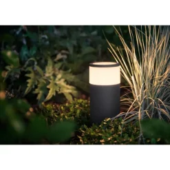 Philips Lighting Hue Calla sokkellamp wit en gekleurd licht laag basis