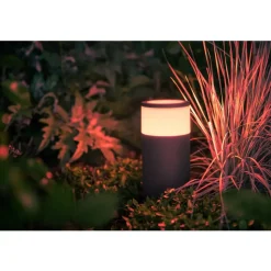 Philips Lighting Hue Calla sokkellamp wit en gekleurd licht laag basis