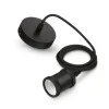 Philips Lighting LED Lamp Pendel Zwart
