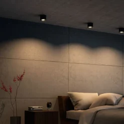 Philips Lighting Phase single spot black 1x4.5W SELV