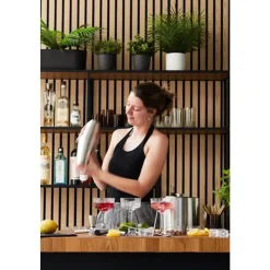 Point-Virgule 5-delige cocktailset met Boston shaker