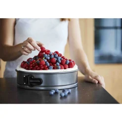 Point-Virgule Springvorm met anti-aanbaklaag ø 25cm