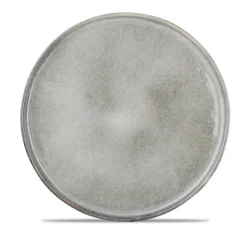 Salt & Pepper Artisan Plat bord 26,5cm groen