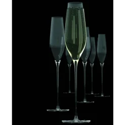 Salt & Pepper Cuvee champagneglas set/6
