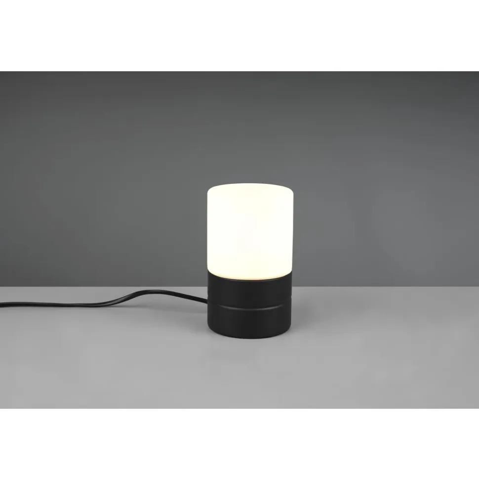 Trio ARY II - 591000132 excl.1xE14