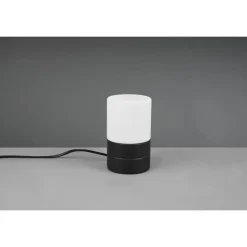 Trio ARY II - 591000132 excl.1xE14