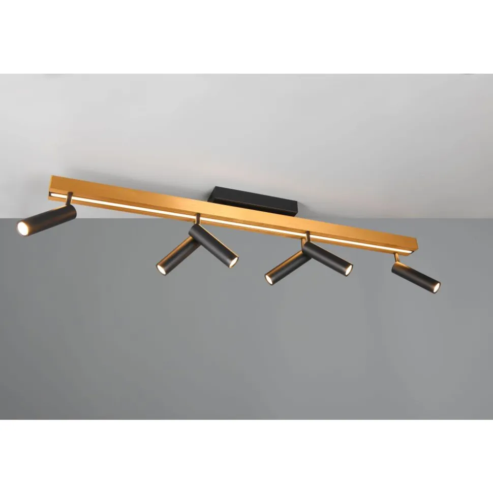 Trio ZENO - 648310780 incl.6x7W LED/800Lm/2700 - 6500K & incl.1x10W LED/1200Lm/2700 - 6500K