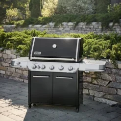 Weber Summit FS38 E-gasbarbecue black