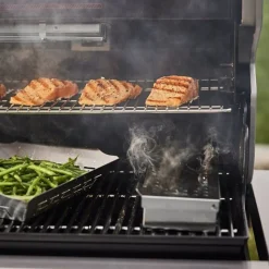 Weber Summit FS38 E-gasbarbecue black