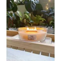 Woodwick Geurkaars Ellipse White Teak